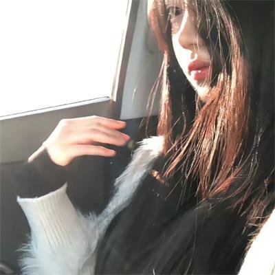 风飞鲨5